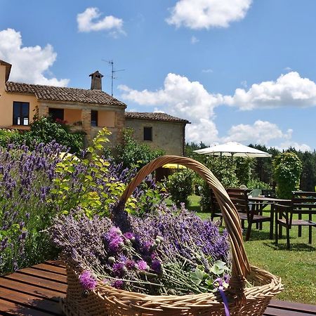 Agriturismo Monterosello تْشيتّا دي كاستيلّو المظهر الخارجي الصورة