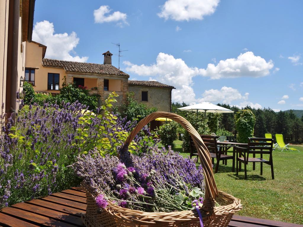 Agriturismo Monterosello تْشيتّا دي كاستيلّو المظهر الخارجي الصورة